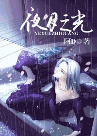 夜月之光