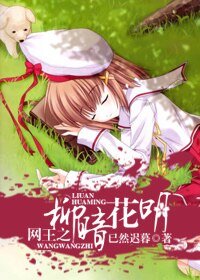 (網王同人)網王之柳暗花明