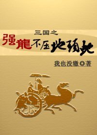 (三国同人)三国之强龙不压地头蛇