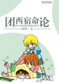 (獵人同人)團西宿命論