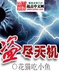 《盜盡天機》