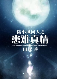 (陸小鳳同人)陸小鳳同人之患難真情
