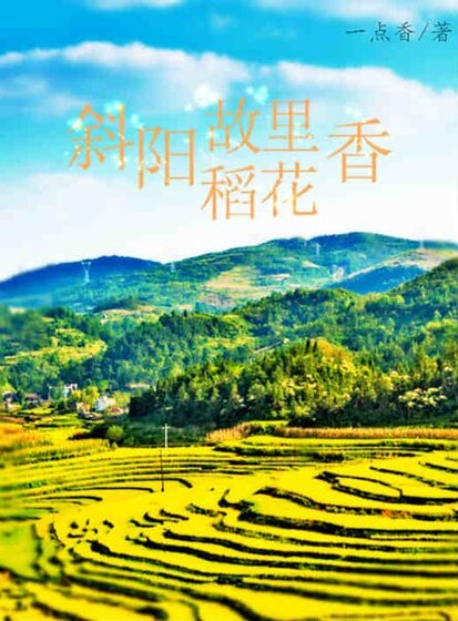 斜陽故里稻花香