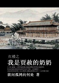 (BG-红楼同人)红楼之我是贾赦的奶奶