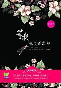 等我微笑着忘却(出书版)