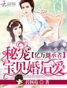 亿万继承者:秘宠宝贝婚后爱