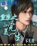 重生之完美一生
