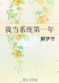 我当系统第一年