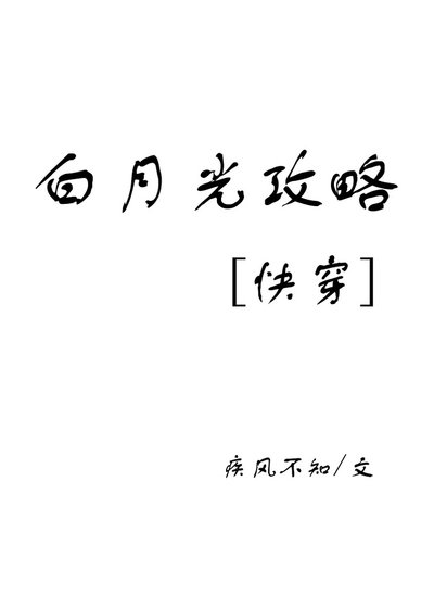《佰月光汞略》