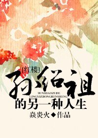 (红楼同人)孙绍祖的另一种人生