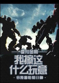 (变形金刚同人)我擦这什么玩意