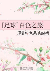 (足球同人)白色之旅