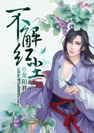 不解鸿尘