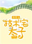 《清穿之技術宅太子》