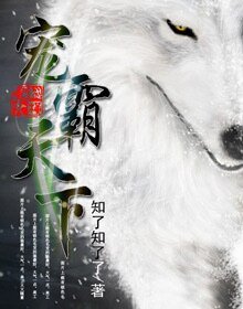 寵霸天下