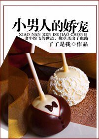 我是老虎不是猫/小男人的娇宠