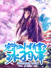 (寵物小精靈同人)寵物小精靈之冰羽澤