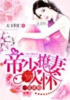 一寵成癮:帝少撩妻入懷