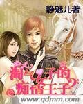 淘氣女子的痴情王子