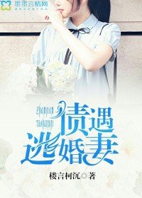 債遇逃婚妻
