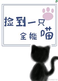 撿到一隻全能喵