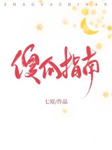 《傻瓜指南》