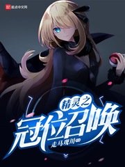 《(精靈寶可夢同人)精靈之冠位召喚》