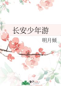 裳安少年游