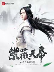 《紫薇天帝》