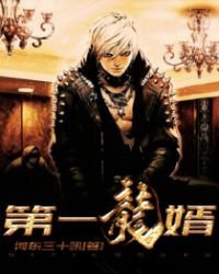 《第一龍婿》
