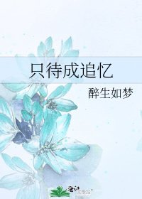 《只待成追憶》