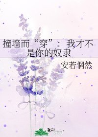 《撞牆而“穿”:我才不是你的奴隸》