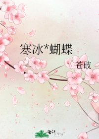 《寒冰*蝴蝶》