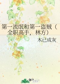 第一流氓和第一盜賊(全職高手,林方)