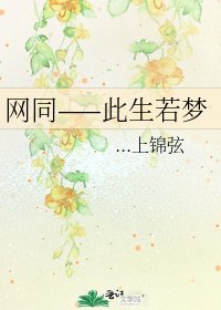 《網同——此生若夢》