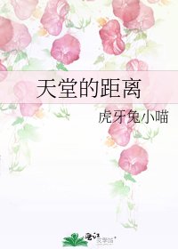 天堂的距离
