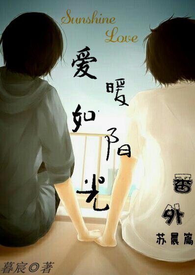 爱暖如阳光 番外 苏晨篇