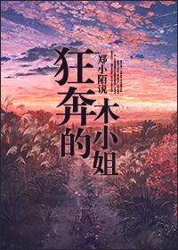 《狂奔的木小姐》