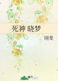 死神 晓梦
