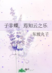 子非蝶,焉知雲之樂