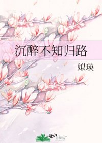 沉醉不知归路