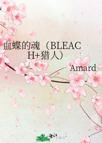 血蝶的魂(BLEACH+猎人)