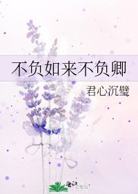 《不負如來不負卿》