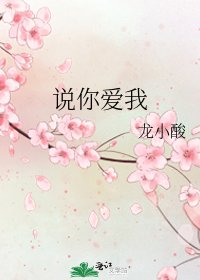 說你愛我