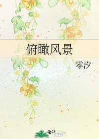俯瞰風景