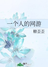 一个人的网游