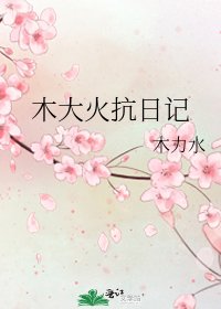 《木大火抗日記》