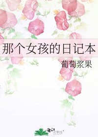 那個女孩的日記本