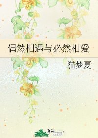 偶然相遇與必然相愛