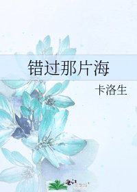 错过那片海